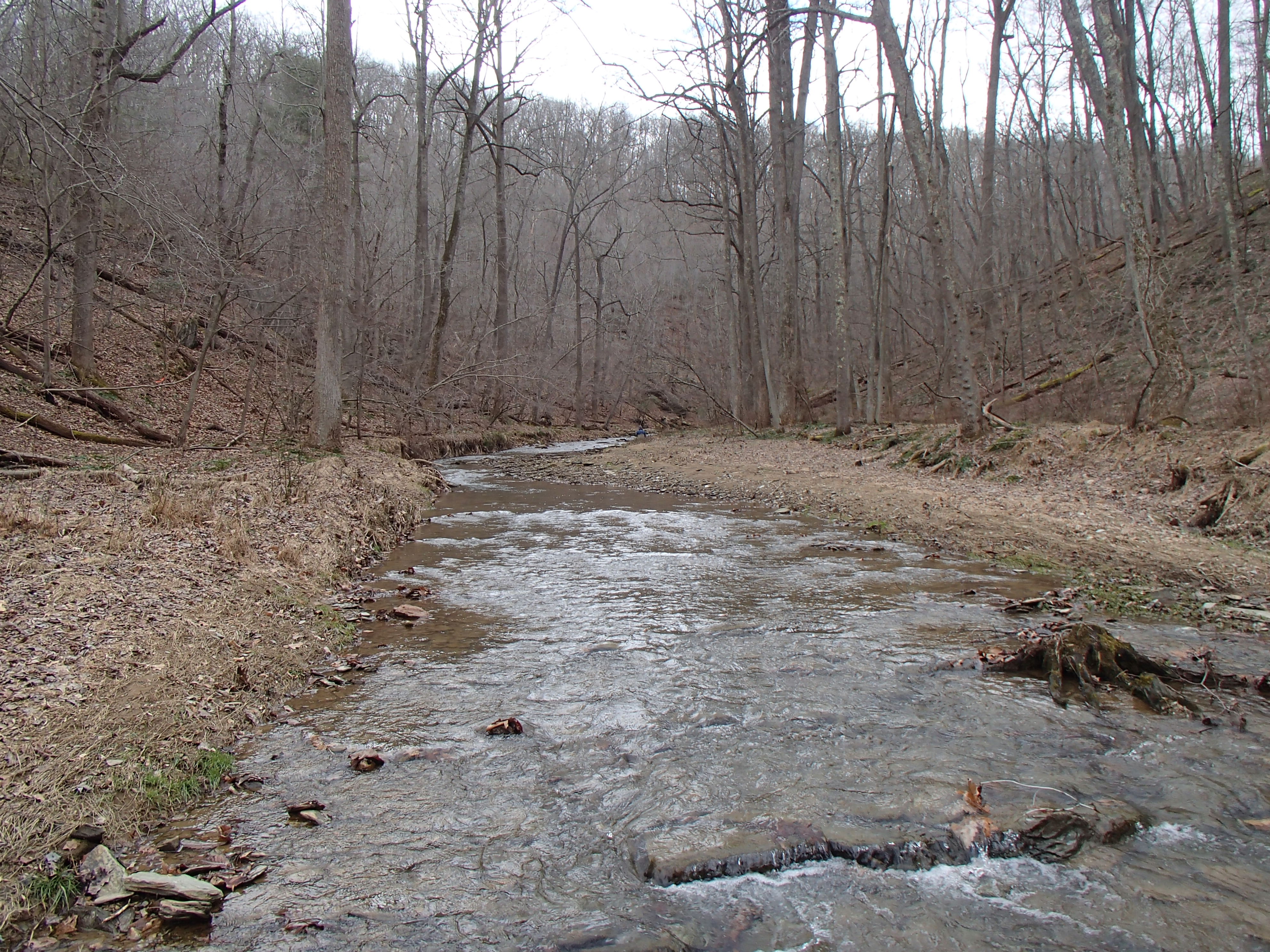 Field photo showing stream conditions at site LOCH-206-R-2016_midpoint looking upstream